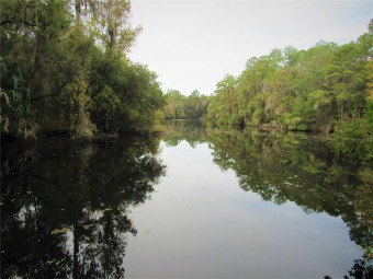 Withlacoochee River - Marion County Lot For Sale in Dunnellon Florida