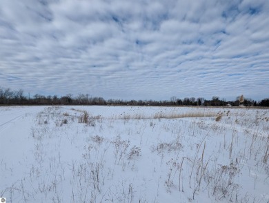 (private lake, pond, creek) Acreage For Sale in Au Gres Michigan