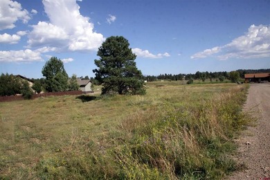 Lake Lot For Sale in Pagosa Springs, Colorado