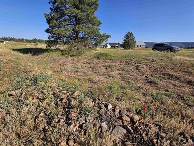 Lake Lot For Sale in Pagosa Springs, Colorado
