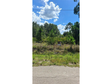 Lehigh Acres Area Acreage Sale Pending in Lehigh Acres Florida