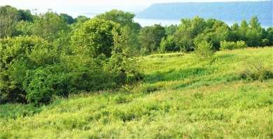 Lake Pepin  Acreage For Sale in Maiden Rock Wisconsin