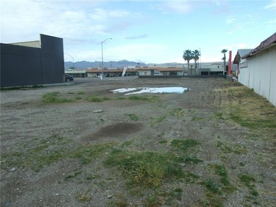 This excellent opportunity includes the lot to the north with a - photo 3