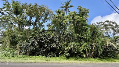An Ocean lover's dream! Build your ideal Hawaiian life on this - photo 3
