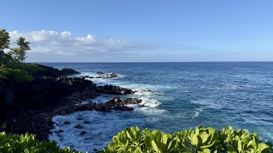 An Ocean lover's dream! Build your ideal Hawaiian life on this - photo 5
