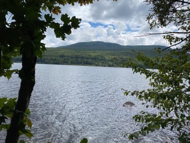 Lake Lot Off Market in Warren Gore, Vermont