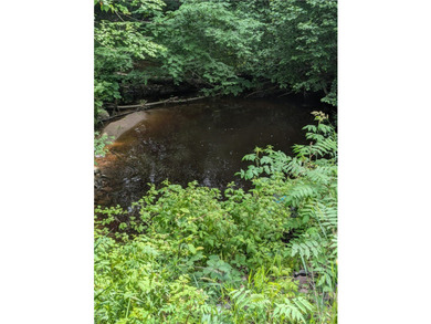 Beautiful corner lot with creek running through. Very close to - photo 11