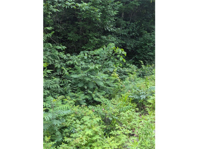 Beautiful corner lot with creek running through. Very close to - photo 13