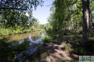 Lake Lot For Sale in Midville, Georgia