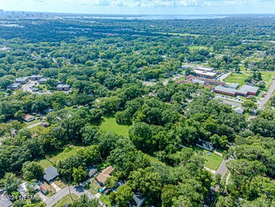 This 3.5+ acre partially cleared parcel on Detroit Street offers - photo 8