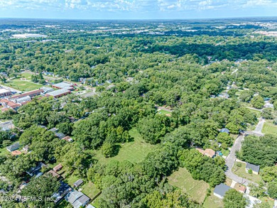 This 3.5+ acre partially cleared parcel on Detroit Street offers - photo 10