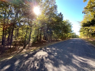 Lake Cypress Springs Lot For Sale in Scroggins Texas