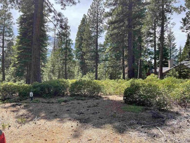 Lake Almanor Lot For Sale in Lake Almanor California
