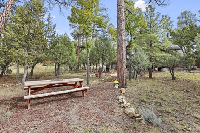 Charming A-Frame Cabin Surrounded by Tall Pines in Happy Jack - photo 44
