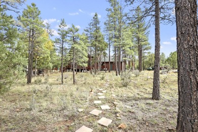 Charming A-Frame Cabin Surrounded by Tall Pines in Happy Jack - photo 45