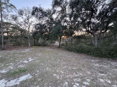 BACK ON THE MARKET:PREVIOUS BUYER'S LOSS, YOUR GAIN!! ADJUSTED - photo 46