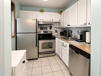 Beautifully maintained turnkey condo in a gated 55+ active adult - photo 6