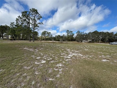 BACK ON THE MARKET:PREVIOUS BUYER'S LOSS, YOUR GAIN!! ADJUSTED - photo 48