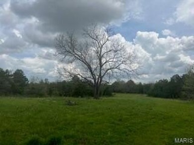 (private lake, pond, creek) Acreage For Sale in Hartshorn Missouri