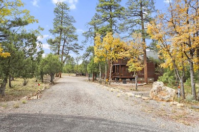 Charming A-Frame Cabin Surrounded by Tall Pines in Happy Jack - photo 53
