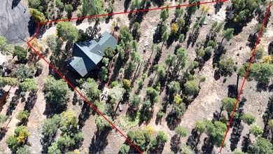 Charming A-Frame Cabin Surrounded by Tall Pines in Happy Jack - photo 54