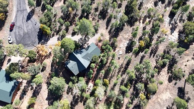 Charming A-Frame Cabin Surrounded by Tall Pines in Happy Jack - photo 55