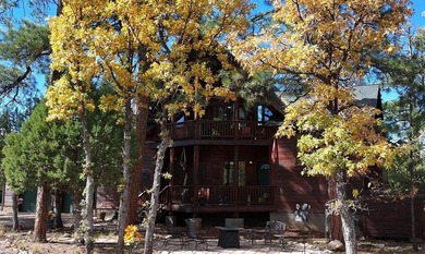 Charming A-Frame Cabin Surrounded by Tall Pines in Happy Jack - photo 56