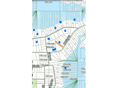 Moss Lee Lake Lot For Sale in Hawthorne Florida