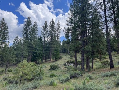 (private lake, pond, creek) Lot For Sale in Portola California