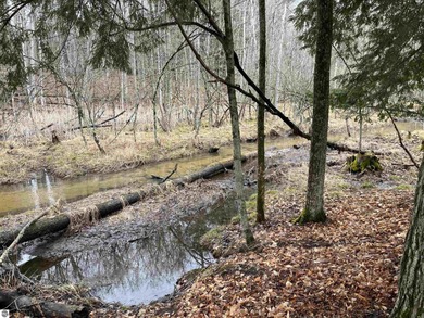 (private lake, pond, creek) Acreage For Sale in Wellston Michigan