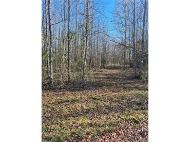 (private lake, pond, creek) Commercial For Sale in Danville Arkansas