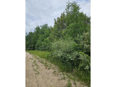 Lake Lot For Sale in Evart, Michigan