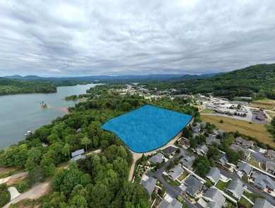 Exceptional development opportunity in the heart of Hiawassee - photo 1