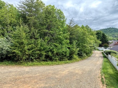 Exceptional development opportunity in the heart of Hiawassee - photo 2