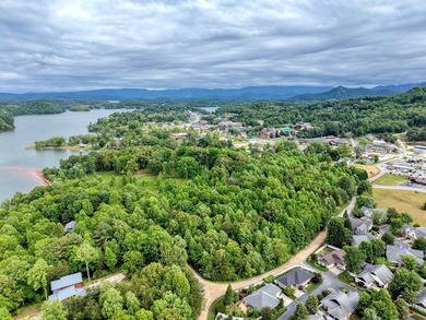 Exceptional development opportunity in the heart of Hiawassee - photo 3