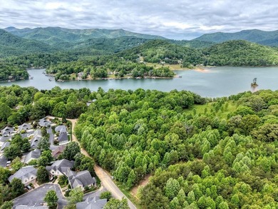Exceptional development opportunity in the heart of Hiawassee - photo 4
