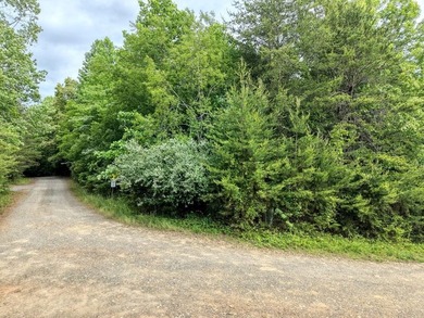 Exceptional development opportunity in the heart of Hiawassee - photo 5