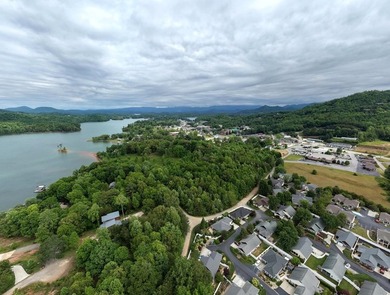 Exceptional development opportunity in the heart of Hiawassee - photo 6