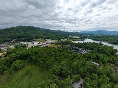 Exceptional development opportunity in the heart of Hiawassee - photo 7