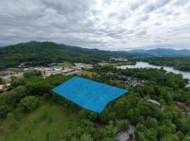Exceptional development opportunity in the heart of Hiawassee - photo 8