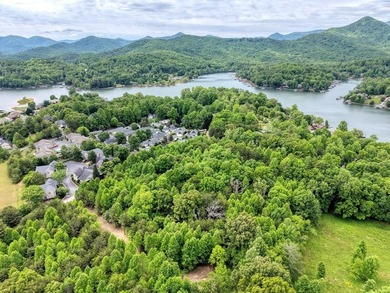 Exceptional development opportunity in the heart of Hiawassee - photo 10