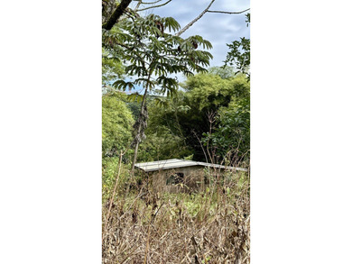 So much potential with this property! 4.55 acres of land with - photo 10