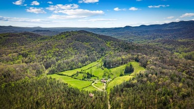 Just five miles from downtown Blue Ridge, this extraordinary 100 - photo 5