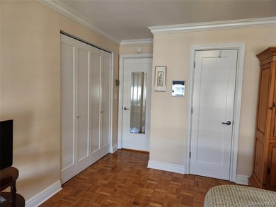 Beautifully Renovated Large 1 bedroom Deluxe (Jr. 4) in Luxury - photo 9