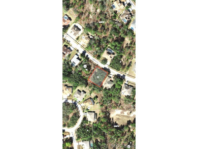 Premium home site in Oak Village at Sugarmill Woods. Lot 13 - photo 3