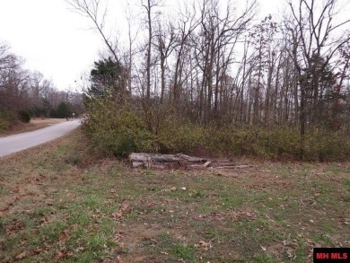 Bull Shoals Lake Lot For Sale in Bull Shoals Arkansas