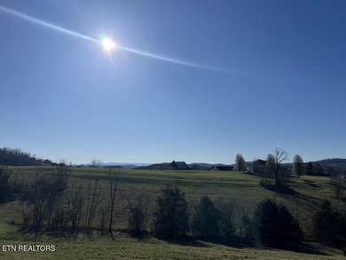 This could be your ''Norris Lake Living Happy Place'' Lot 694B - photo 11