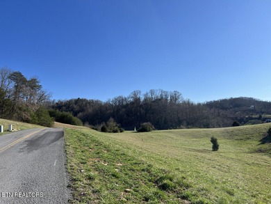 This could be your ''Norris Lake Living Happy Place'' Lot 694B - photo 13