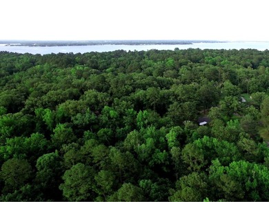 Owner financing available. 0.89 acres on quiet cut-de-sac - photo 3