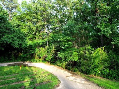 Owner financing available. 0.89 acres on quiet cut-de-sac - photo 4